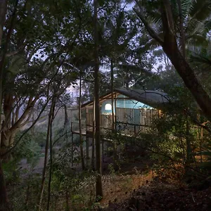 Treetops Seaview Australia